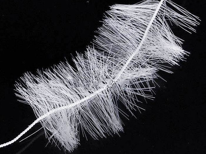 ���w��������